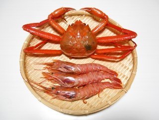 アスタキサンチン.jpg